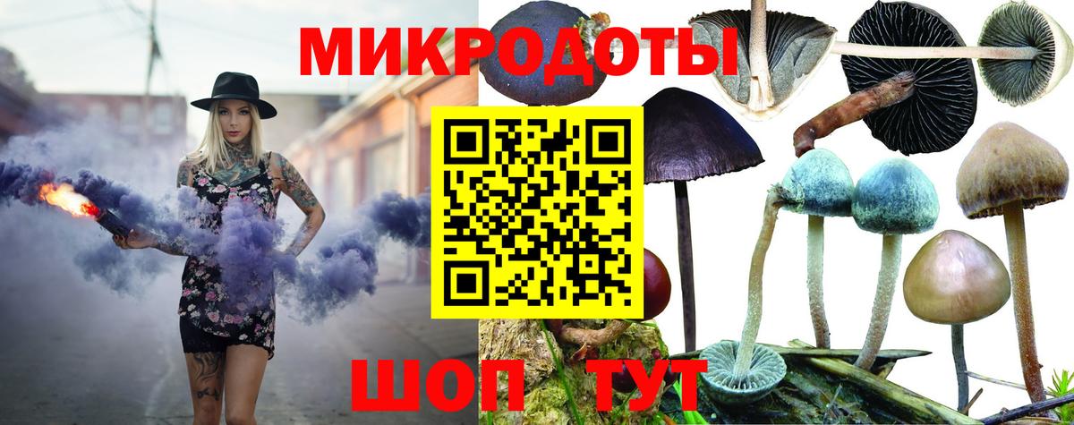 Галлюциногенные грибы мухоморы Сунжа