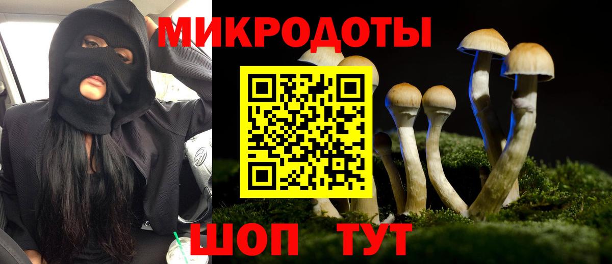 Галлюциногенные грибы MAGIC MUSHROOMS  Псилоцибиновые грибы Psilocybine cubensis  Сунжа  Вход с VPN 